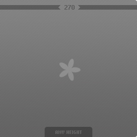 270 px image