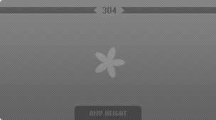 304 px image